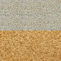Sesame