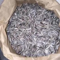 Sunflower Seeds