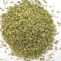 Fennel