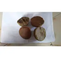 Palm Jaggery