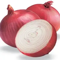 Indian Red Onion