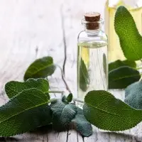Sage Oil