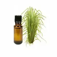 Vetiver Oil