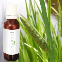 Calamus Oil