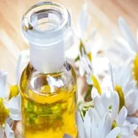 Chamomile Oil