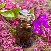 Clary Sage Oil
