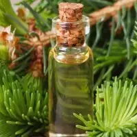 Cypress Essential Oil