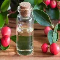 Winter Green Oil