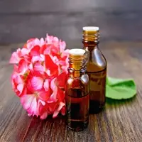 Rose Geranium Oil