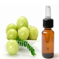 Amla Oil