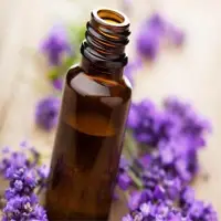 Lavender Oil