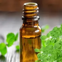Moringa Seeds Oil