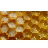Royal Jelly