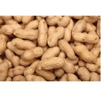 Ground Nuts/Peanuts