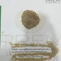 Natural Sesame Seeds