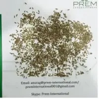 Cumin Seed