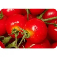 Organic Tomatoes