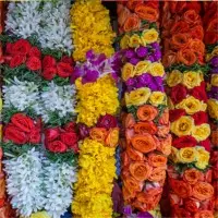 Fresh Garlands