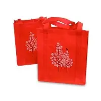 Grocery bag