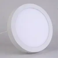 Surface Mounted Lights