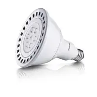 Fancy LED Lamps