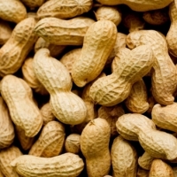 Peanut
