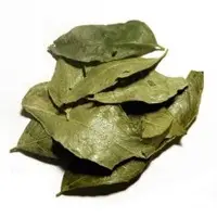 Curry Leaves