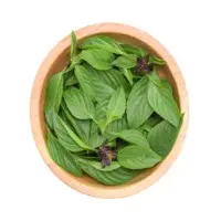 Tulsi