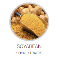 Soyabean Soya Extracts