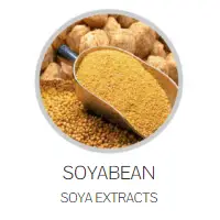 Soyabean Soya Extracts