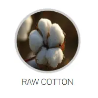 Raw Cotton