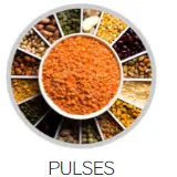 Pulses