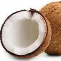 Coconut
