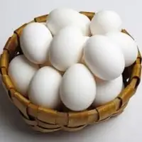 Fresh Eggs
