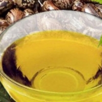 Castor Oil