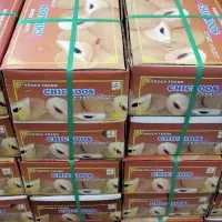 Sapota /Chico