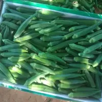 Fresh Vegetables