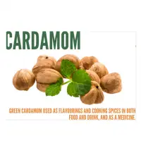 Cardamom