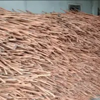 Cinnamon