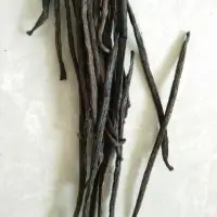 Vanilla Beans