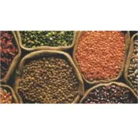 Pulses