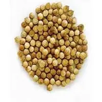 Coriander seeds