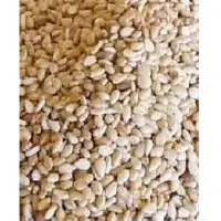 Seasam seeds