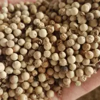 Kalimantan Pepper