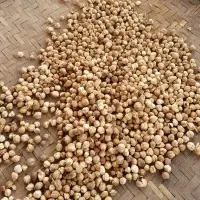 Cardamom