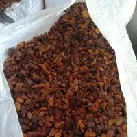 Cocoa Beans