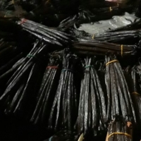 Vanilla Beans