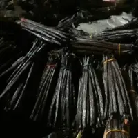 Vanilla Beans