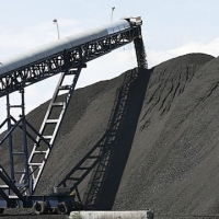 Coal