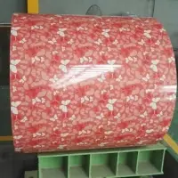 Wood Pattern Steel Coil